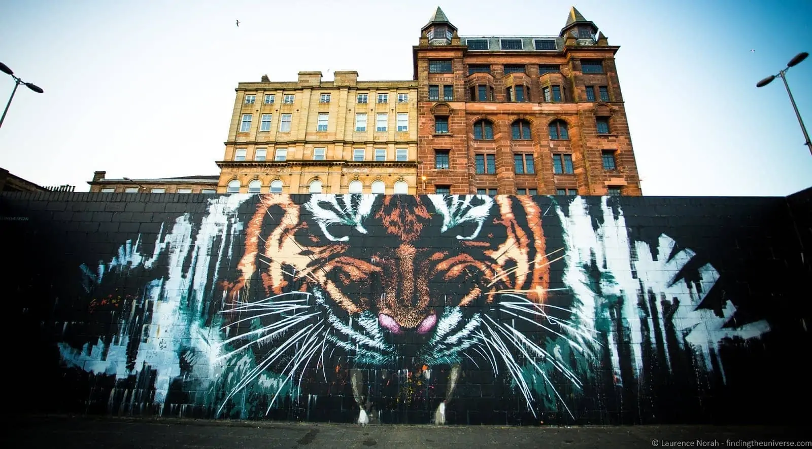 Glasgow2BStreet2BArt2BTiger_by_Laurence2BNorah-2