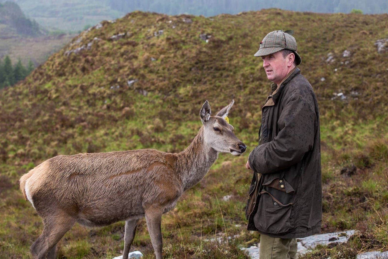 Colin Murdoch Highland experience deer and argo