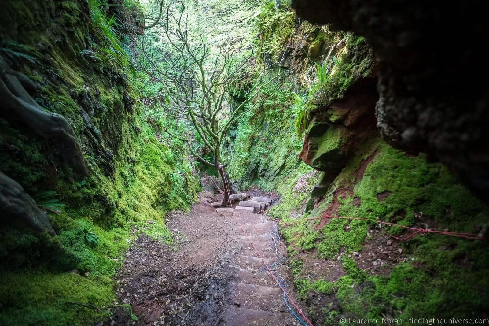 Jacobs ladder