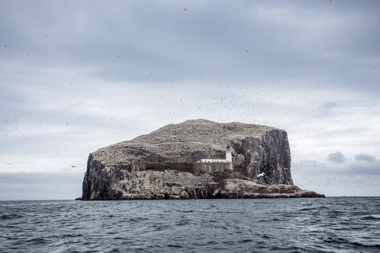 Scottish Seabird Centre