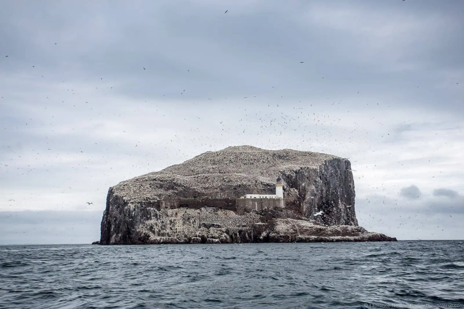 Scottish Seabird Centre Scottish Seabird Centre