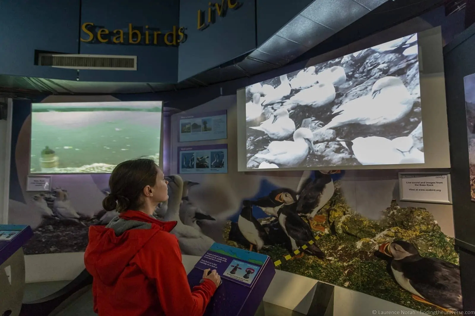 Scottish Seabird Centre Scottish Seabird Centre