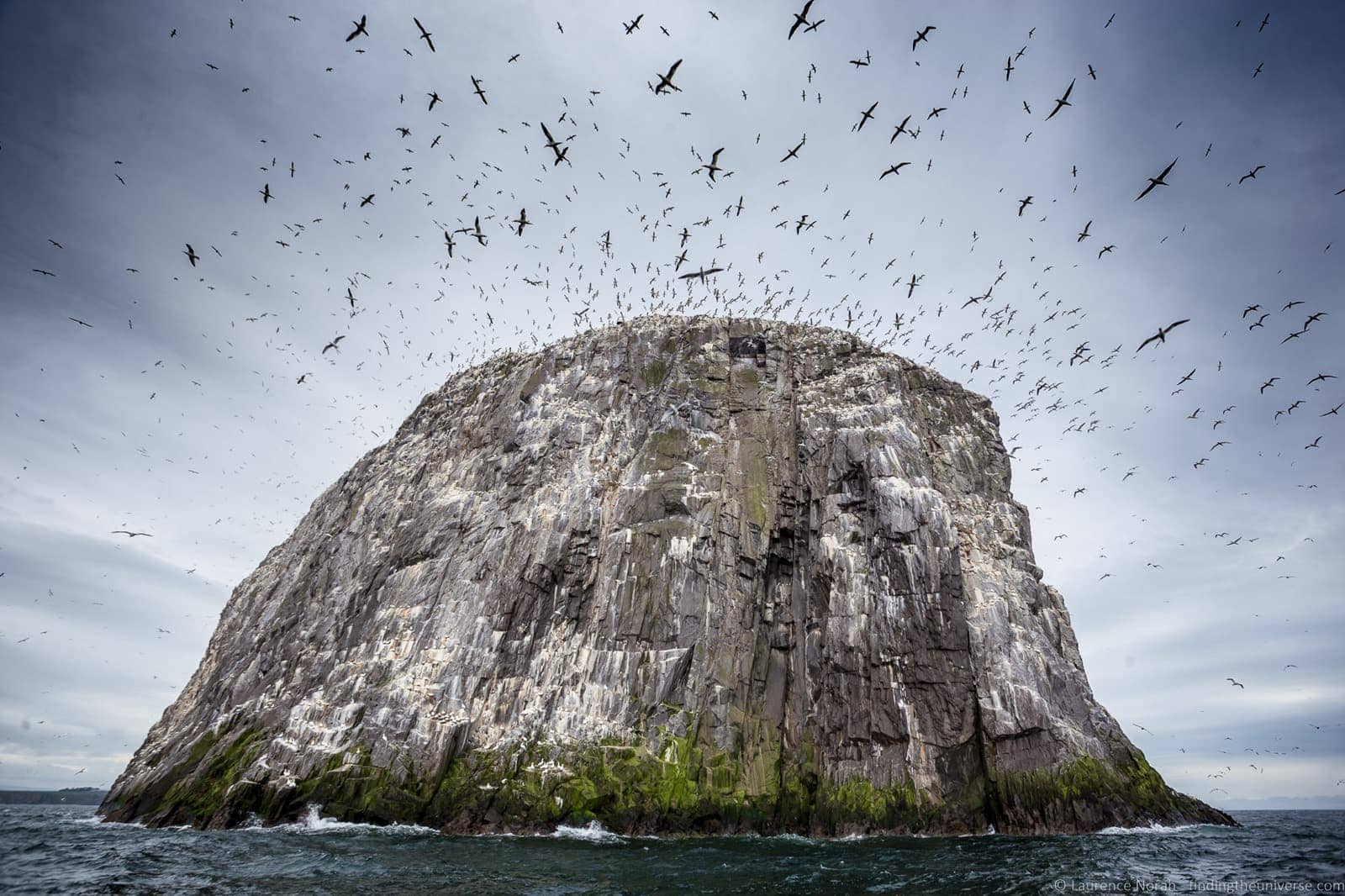 The Scottish Seabird Centre in North Berwick: Seeing Puffins and More!