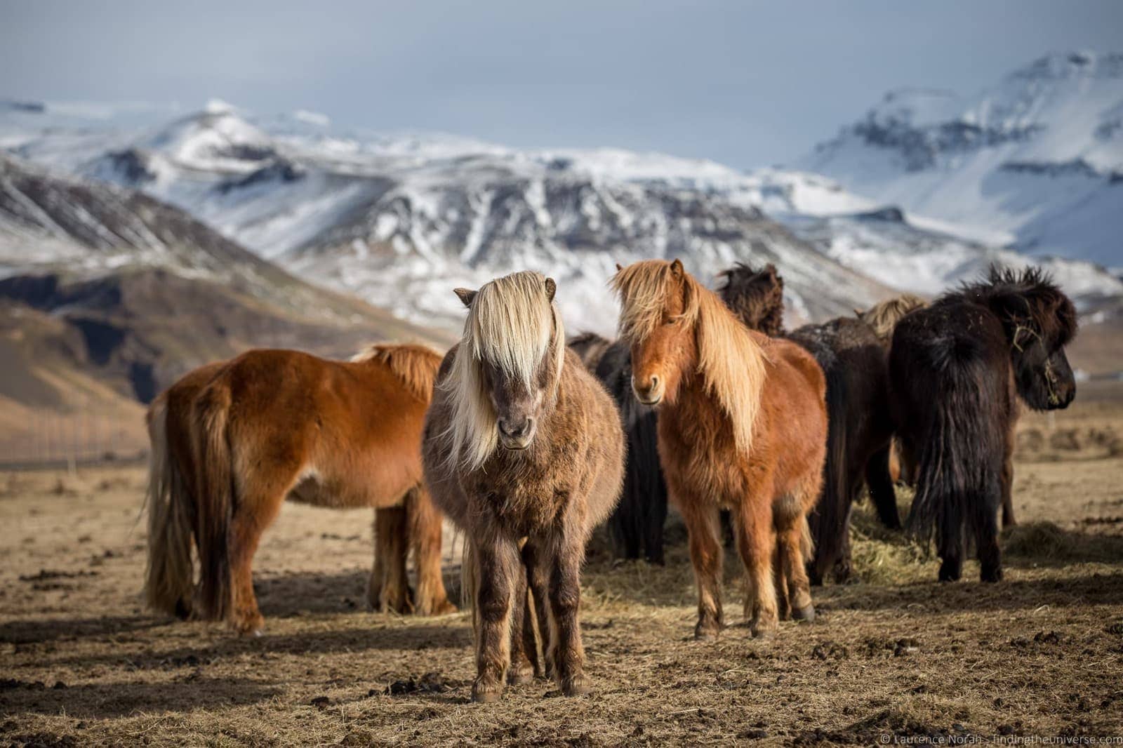 The Best Day Trips from Reykjavik, Iceland