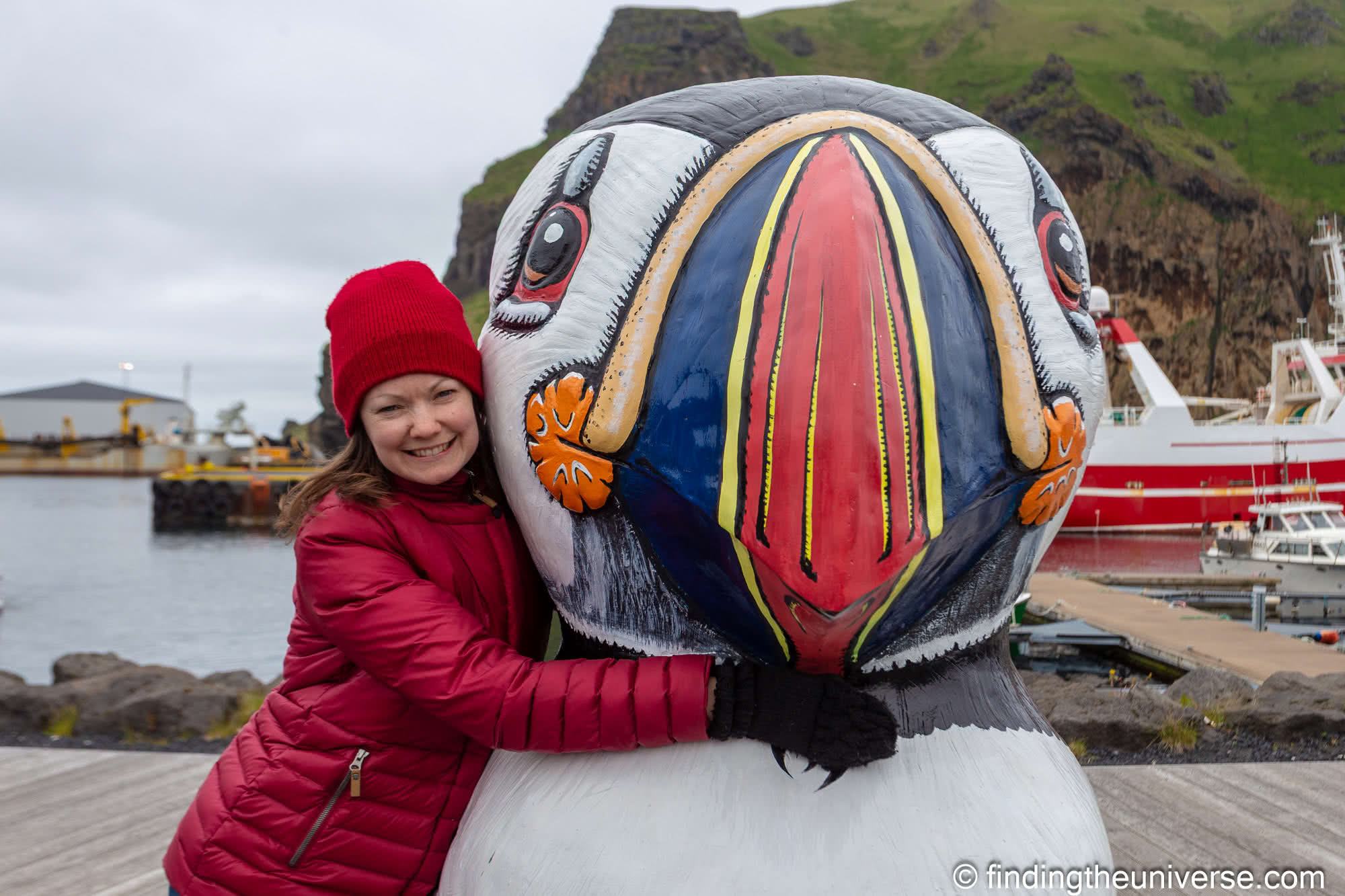 Puffins at Westmann Iceland Iceland by Laurence Norah