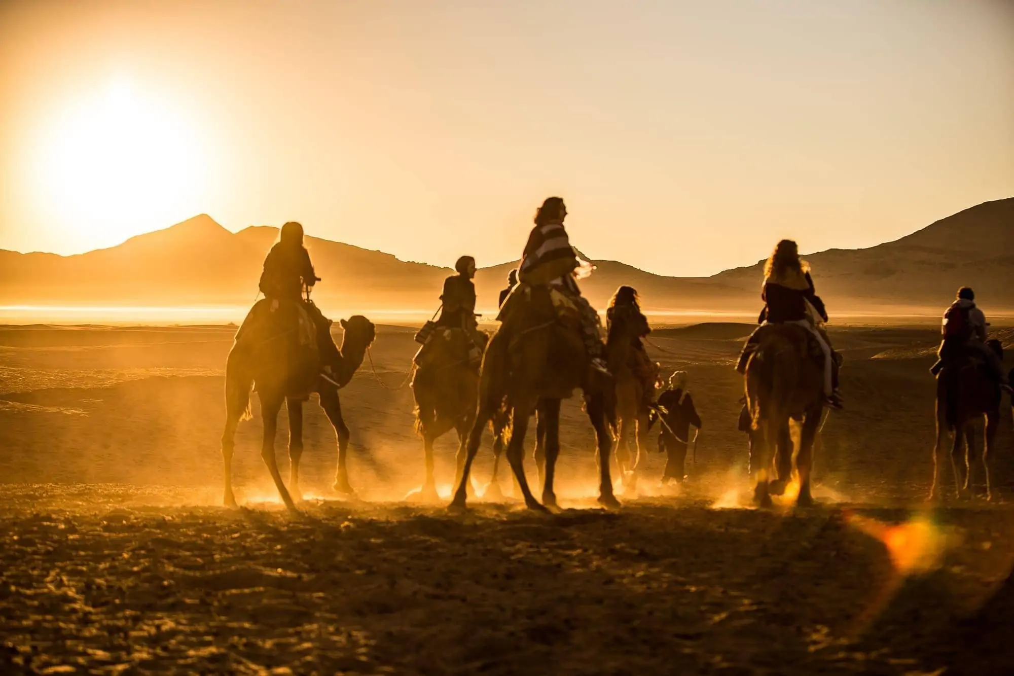 Camels and riders in desert Morocco
