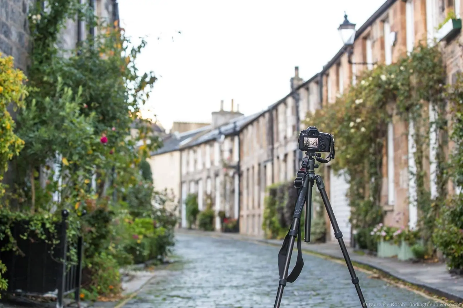 Circus Lane Edinburgh cobbled mews street with greenery
