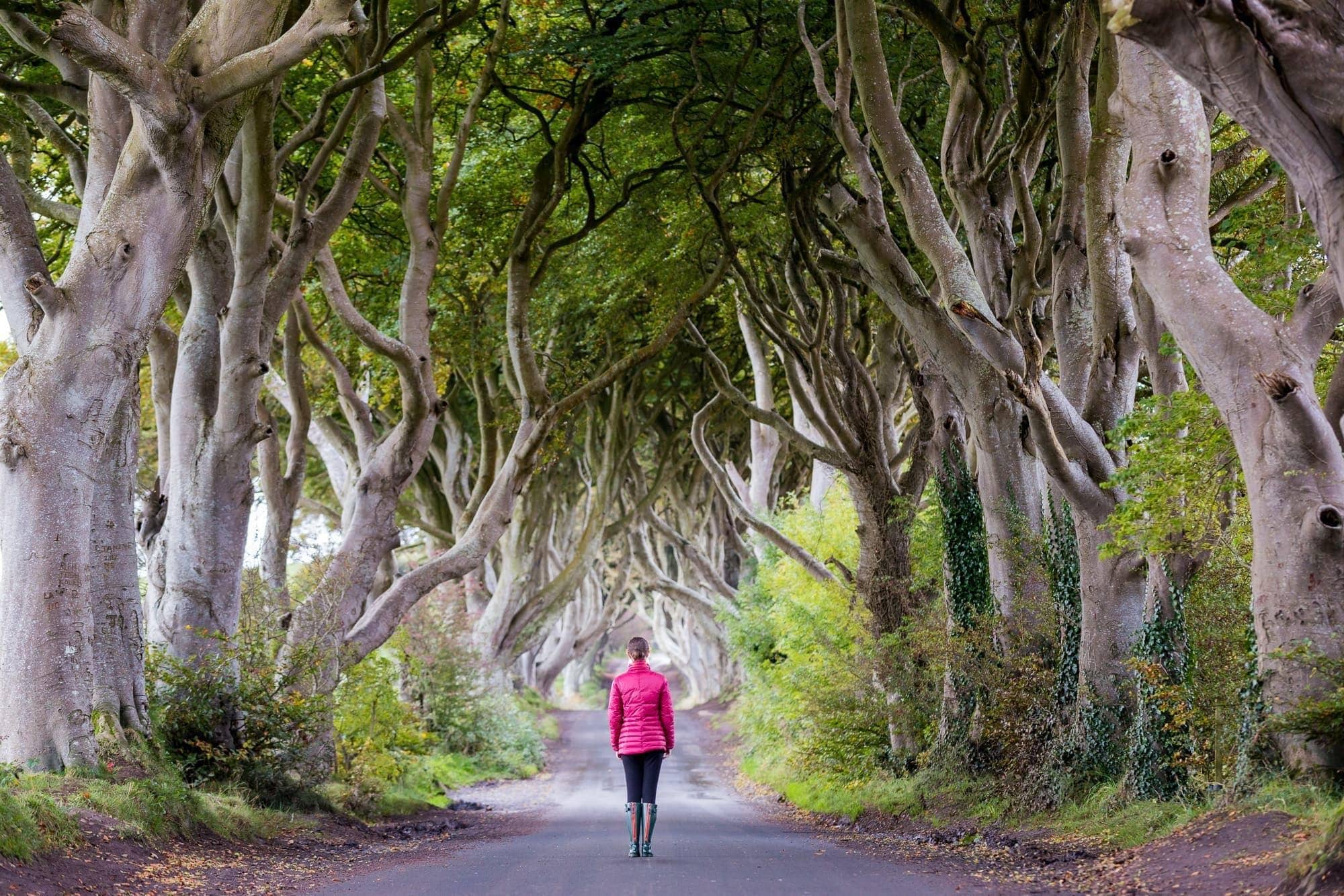 Dark hedges Ireland