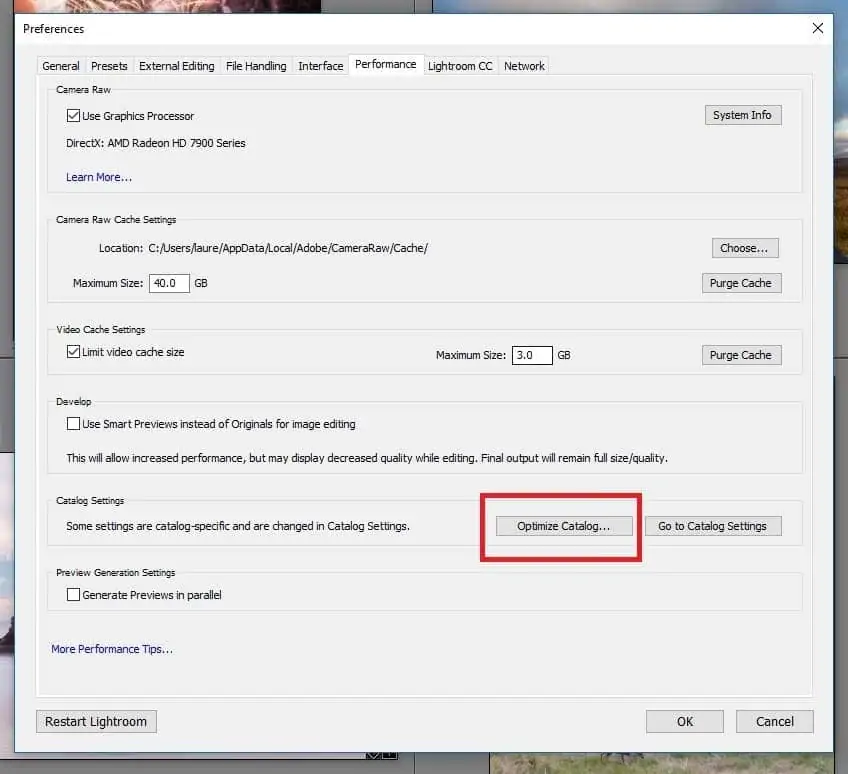 Lightroom Classic Optimise Catalog option