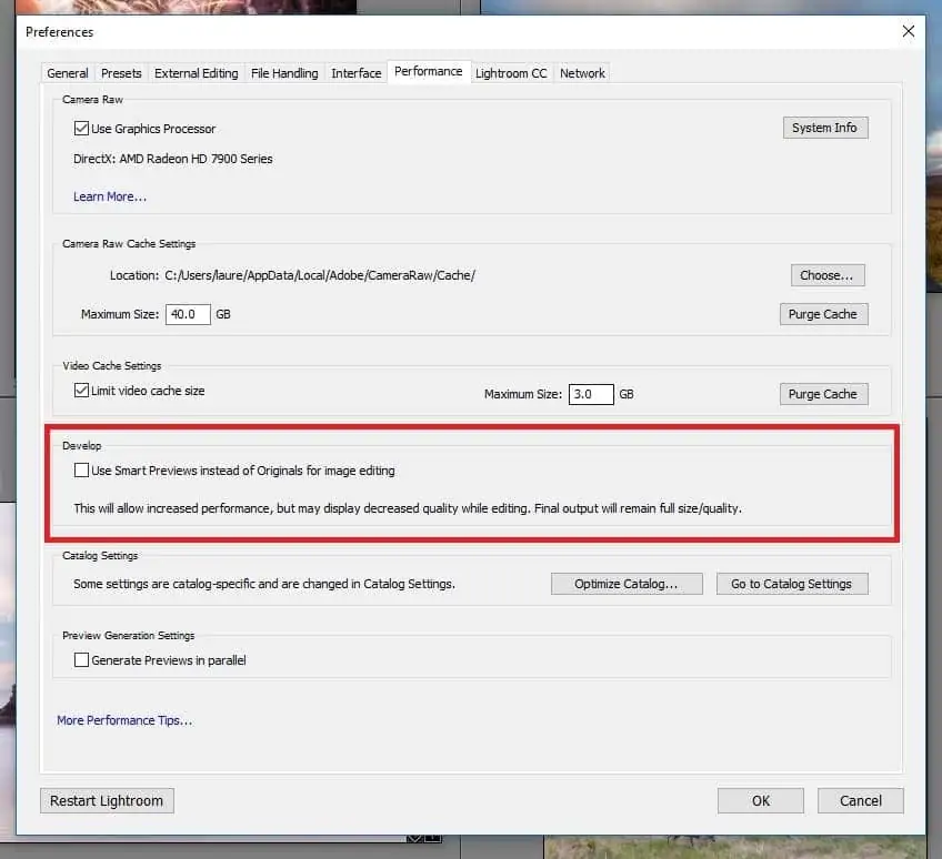 Lightroom Classic Smart Preview settings in Preferences