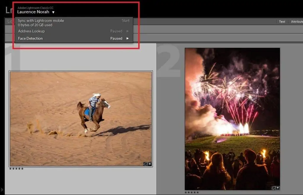 Lightroom Classic address lookup and face detection pause controls
