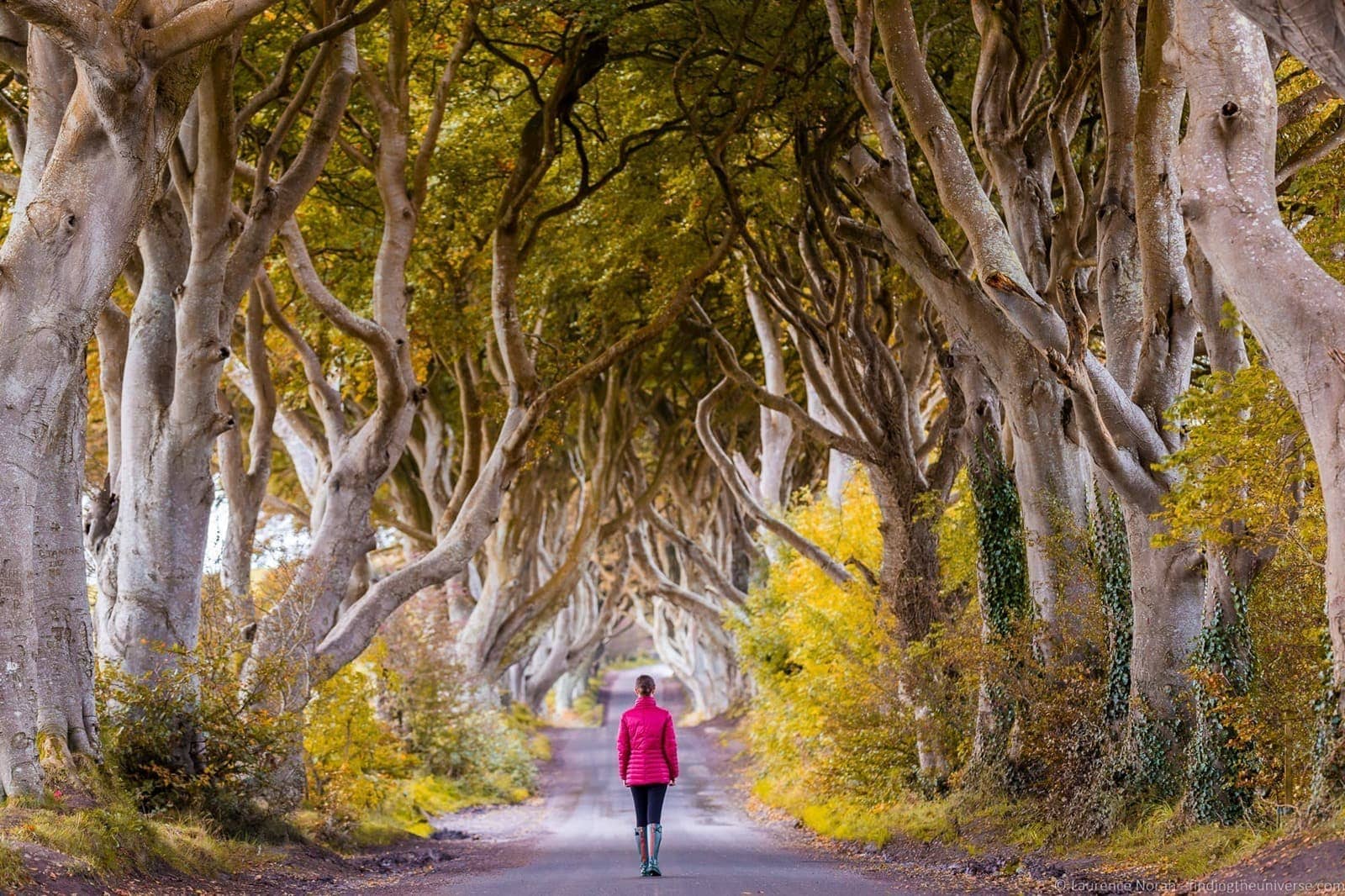 A Guide to the Game of Thrones Filming Locations in Northern Ireland