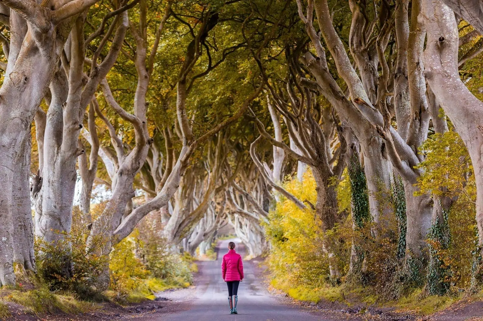 Jess Dark hedges Ireland