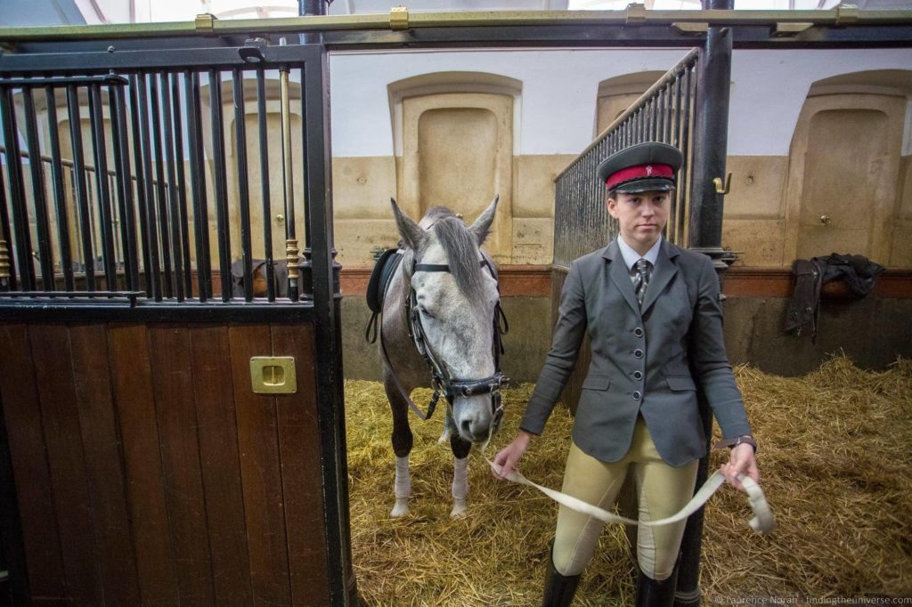 3 Days in Vienna - Lipizzan horses Spanish Riding School Vienna