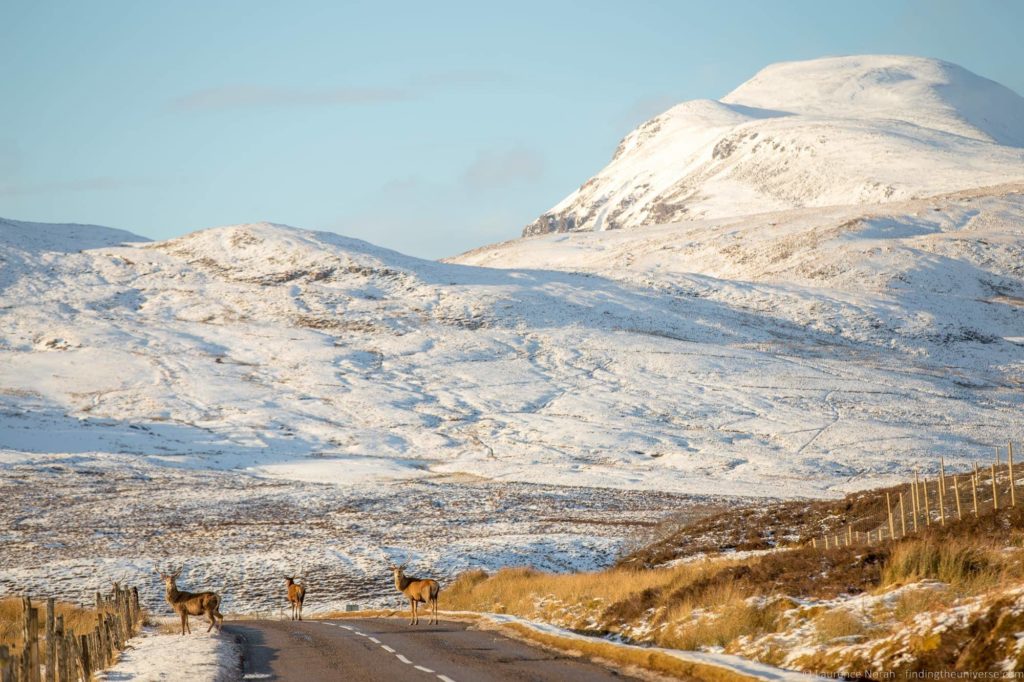 Stag Scotland NC500