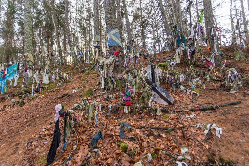 Clootie Well - Black Isle