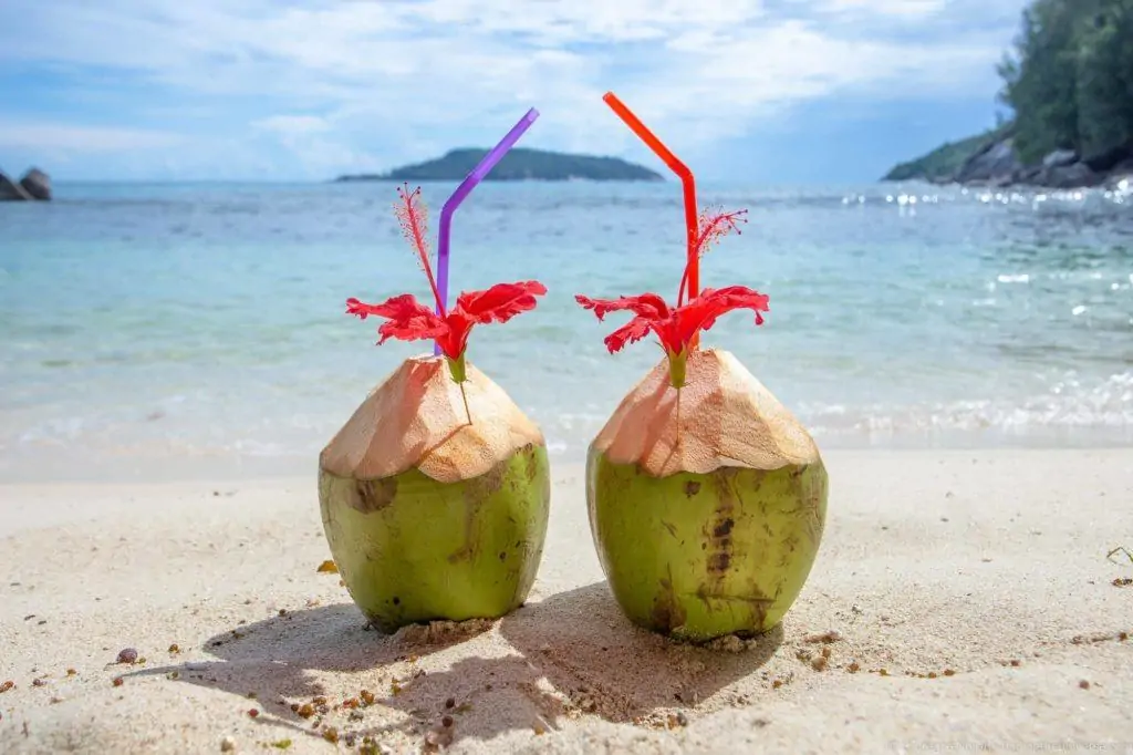 Coconuts on a beach, Mahé, Seychelles
