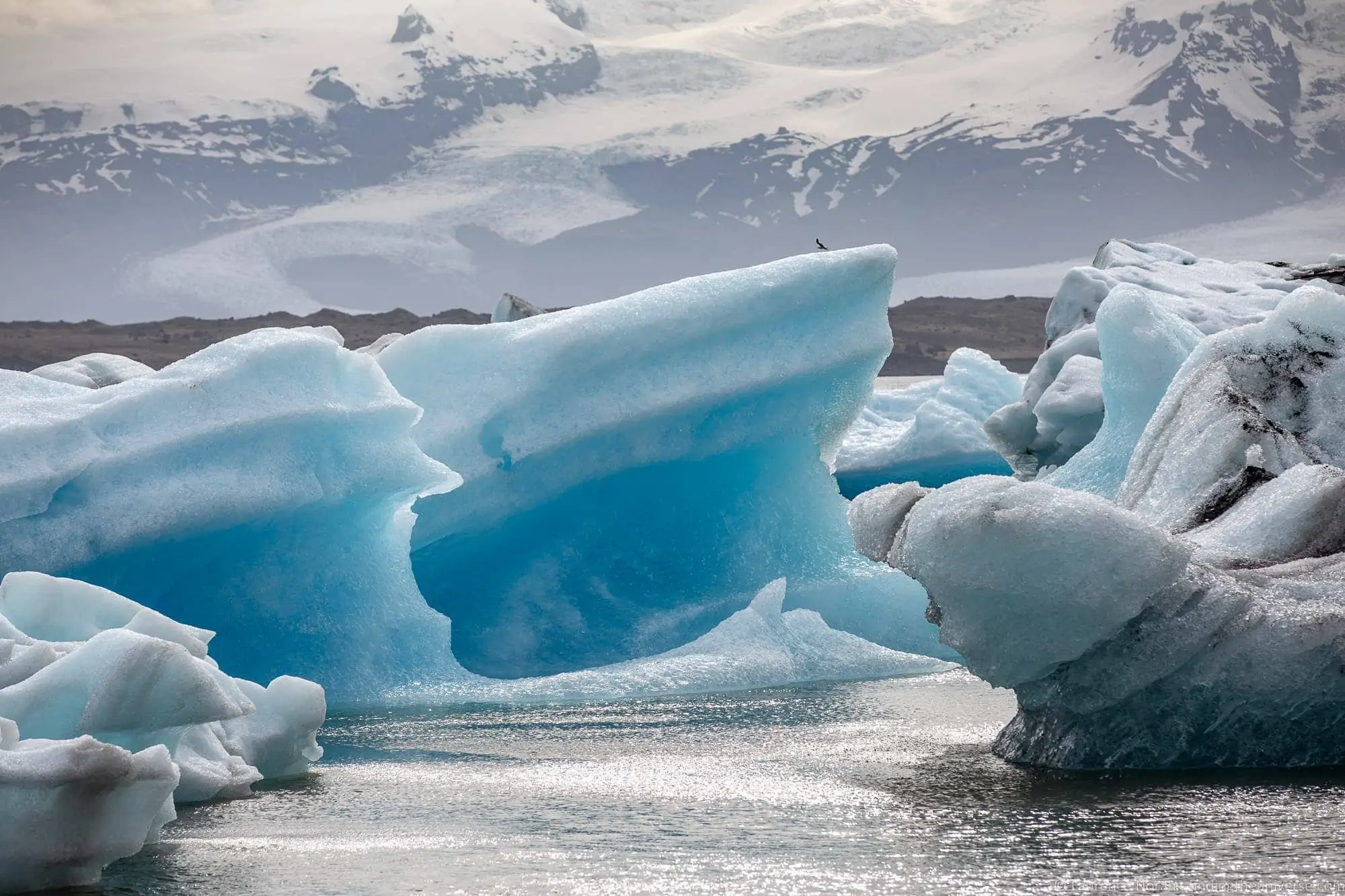 Blue icebergs floating in the Jökulsárlón glacier lagoon