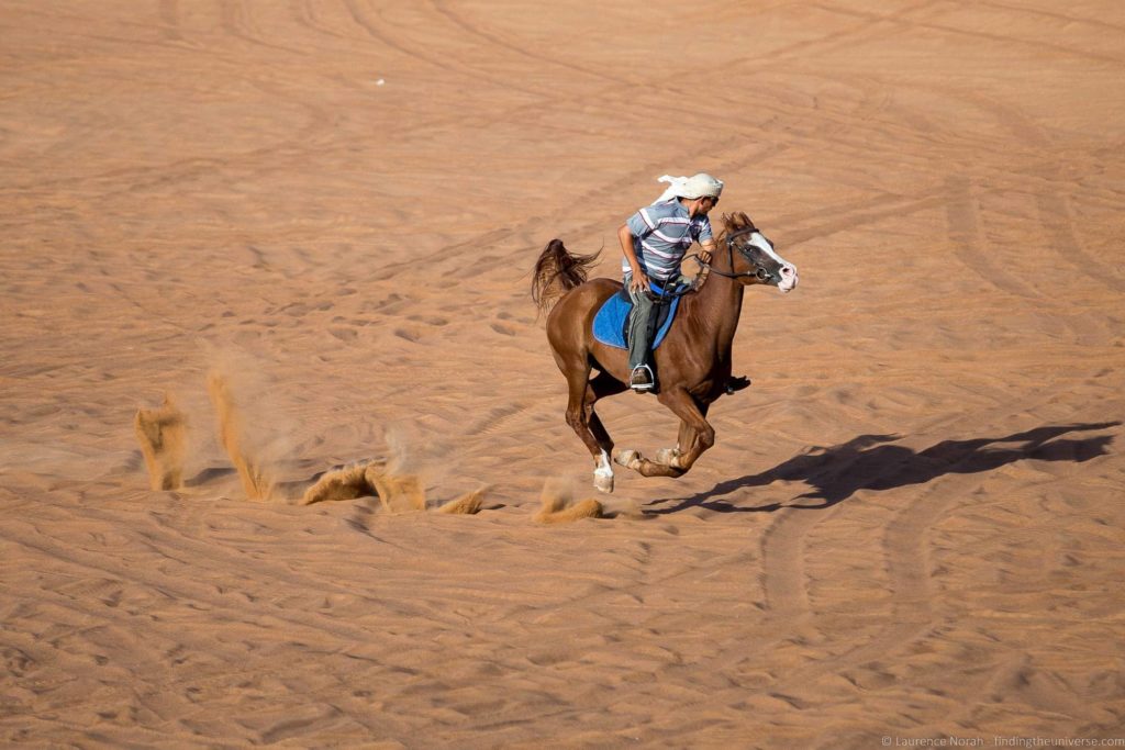 Horse moving quickly RAW editing