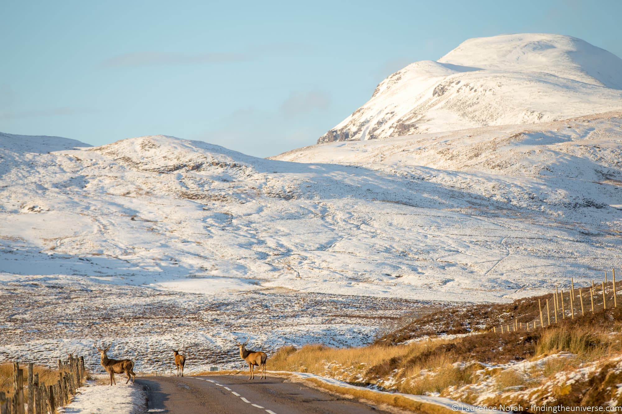 Stag Scotland NC500