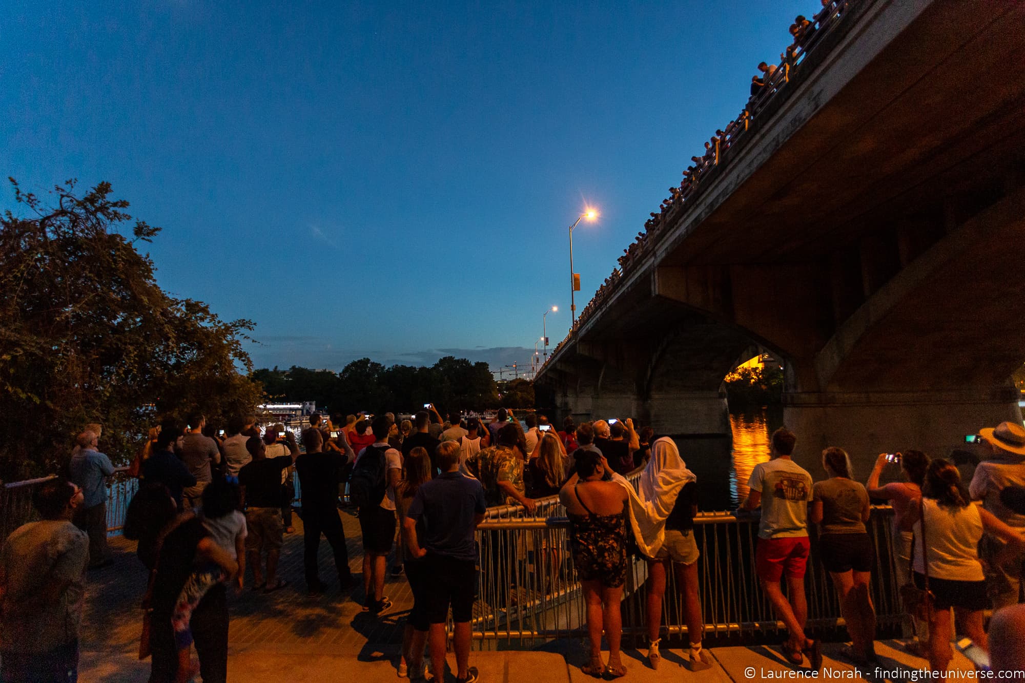 Bat watching bridge Austin