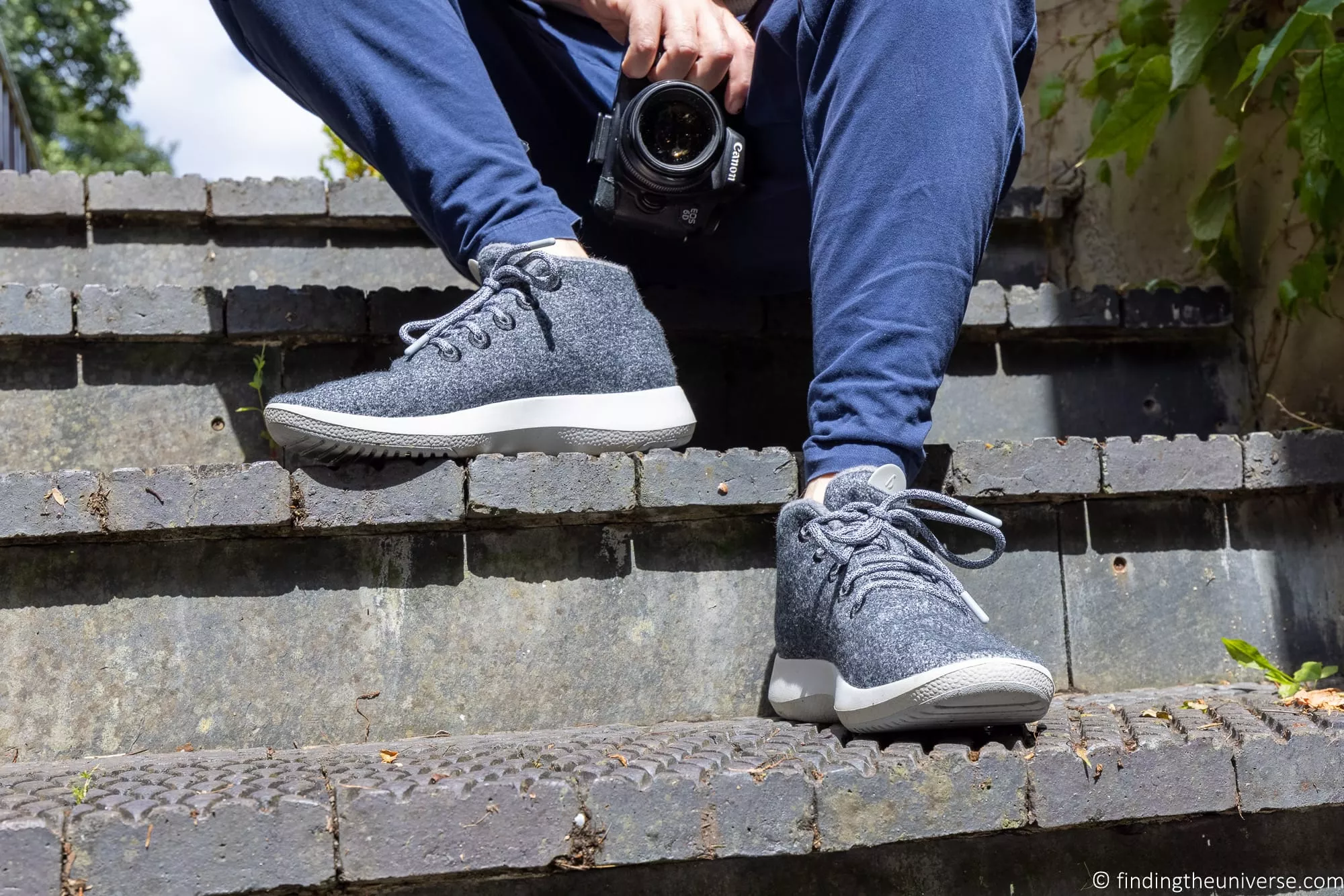 Allbirds Wool runner up mizzles