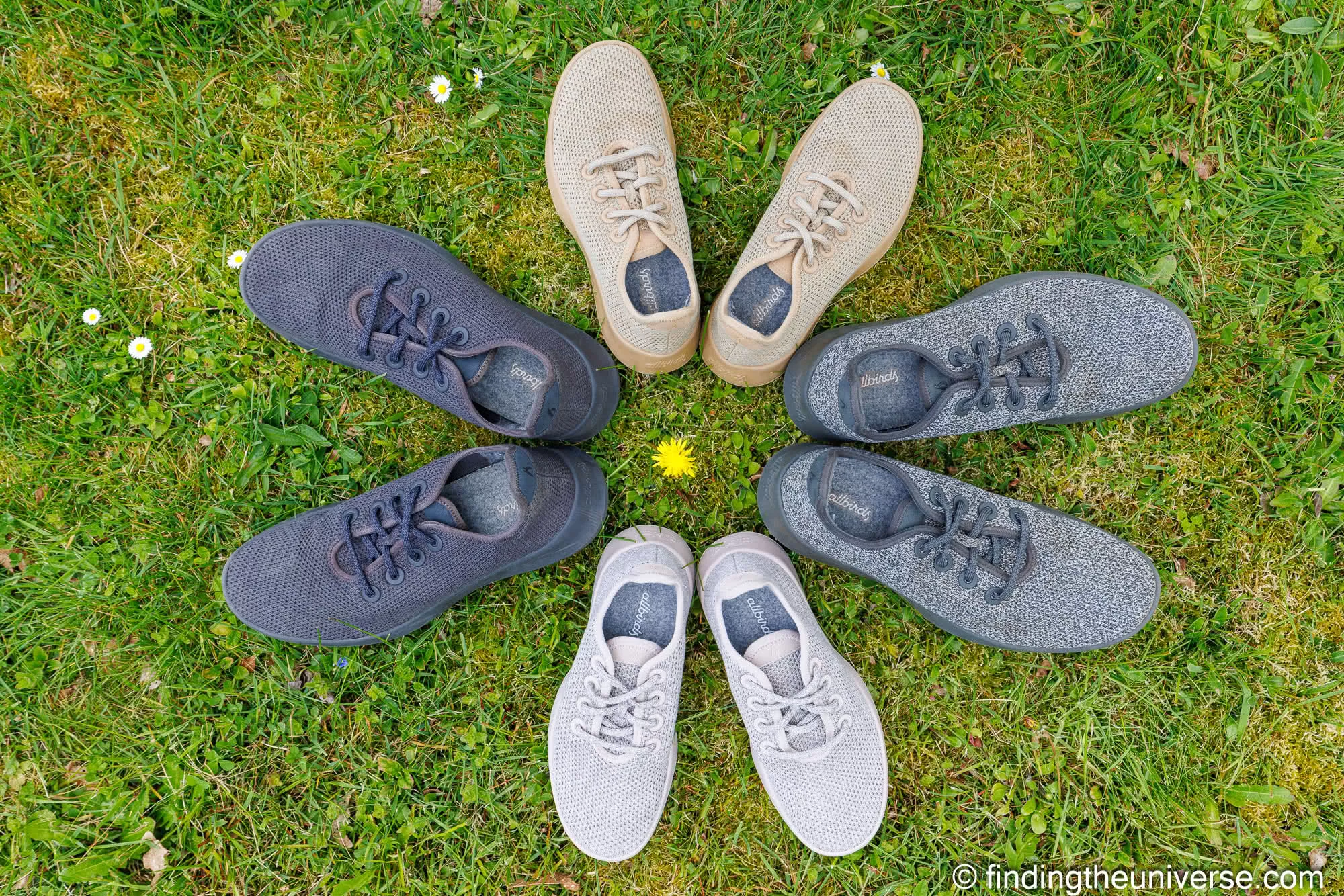 Allbirds tree runners by Laurence Norah