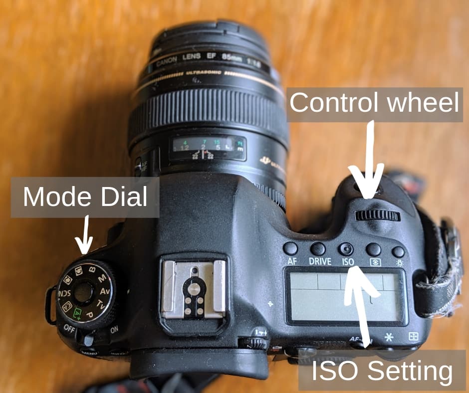 Misschien Mus leg uit How To Use A DSLR Camera: A Beginner's Photography Guide - Finding the  Universe