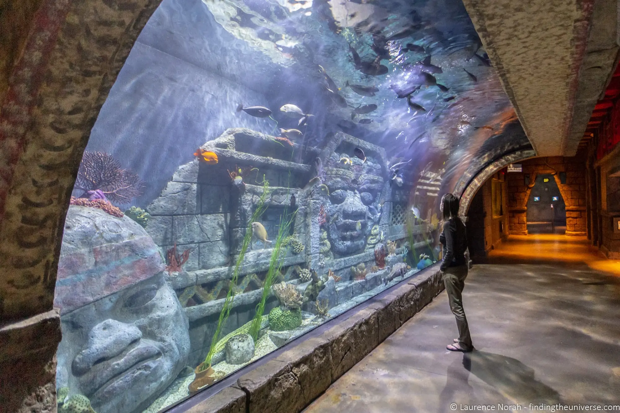 Downtown Aquarium Houston