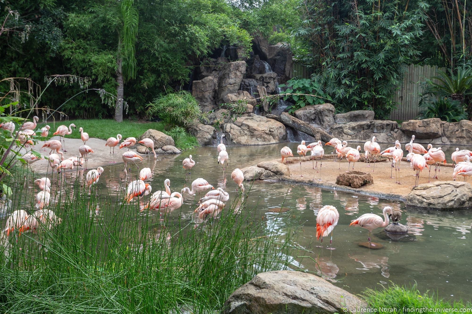 Houston Zoo