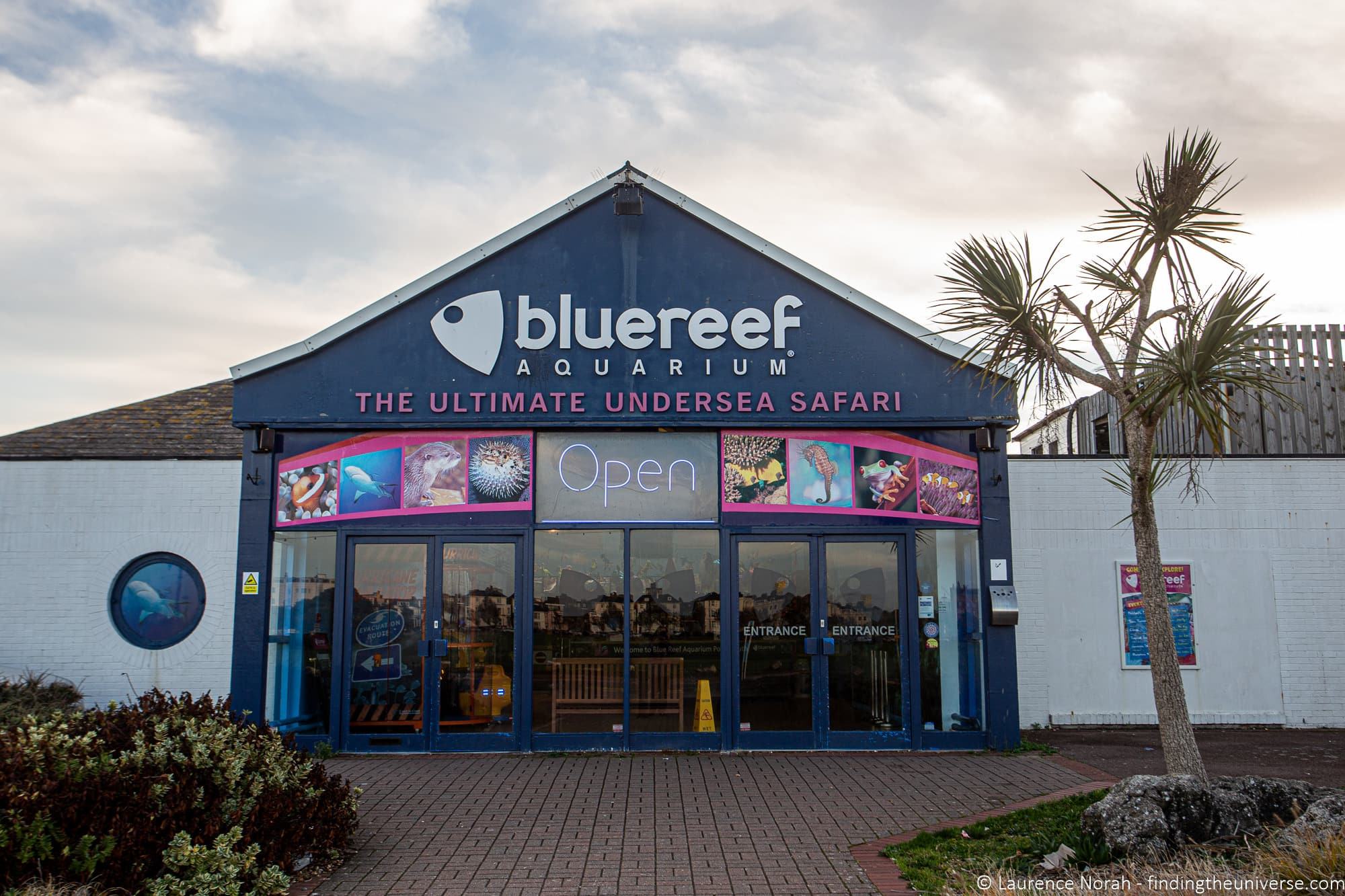 Blue Reef Aquarium Portsmouth