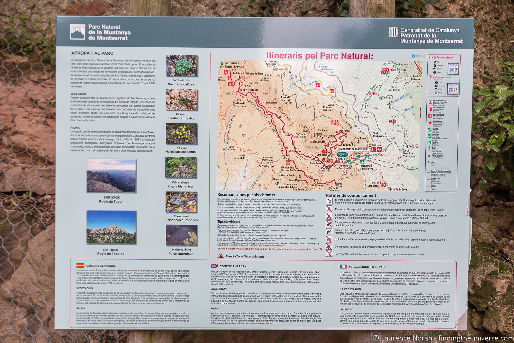 Montserrat hiking tour cheap