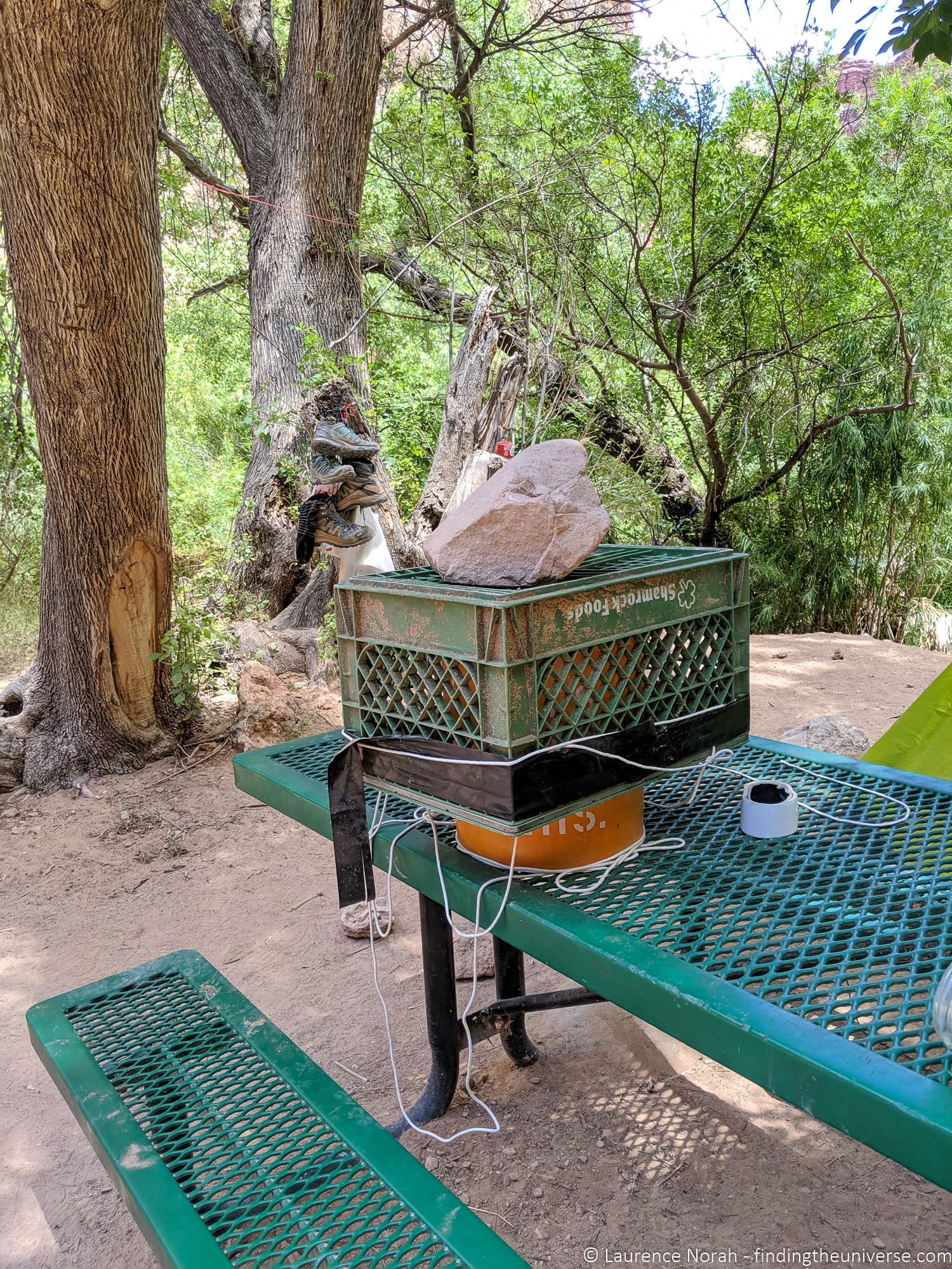 Squirrel protection measures Havasupai