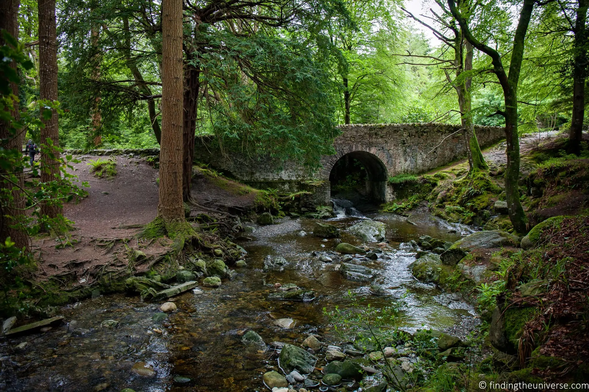 Tollymore Forest Park near Parnell's Bridge, Wildling Pit location