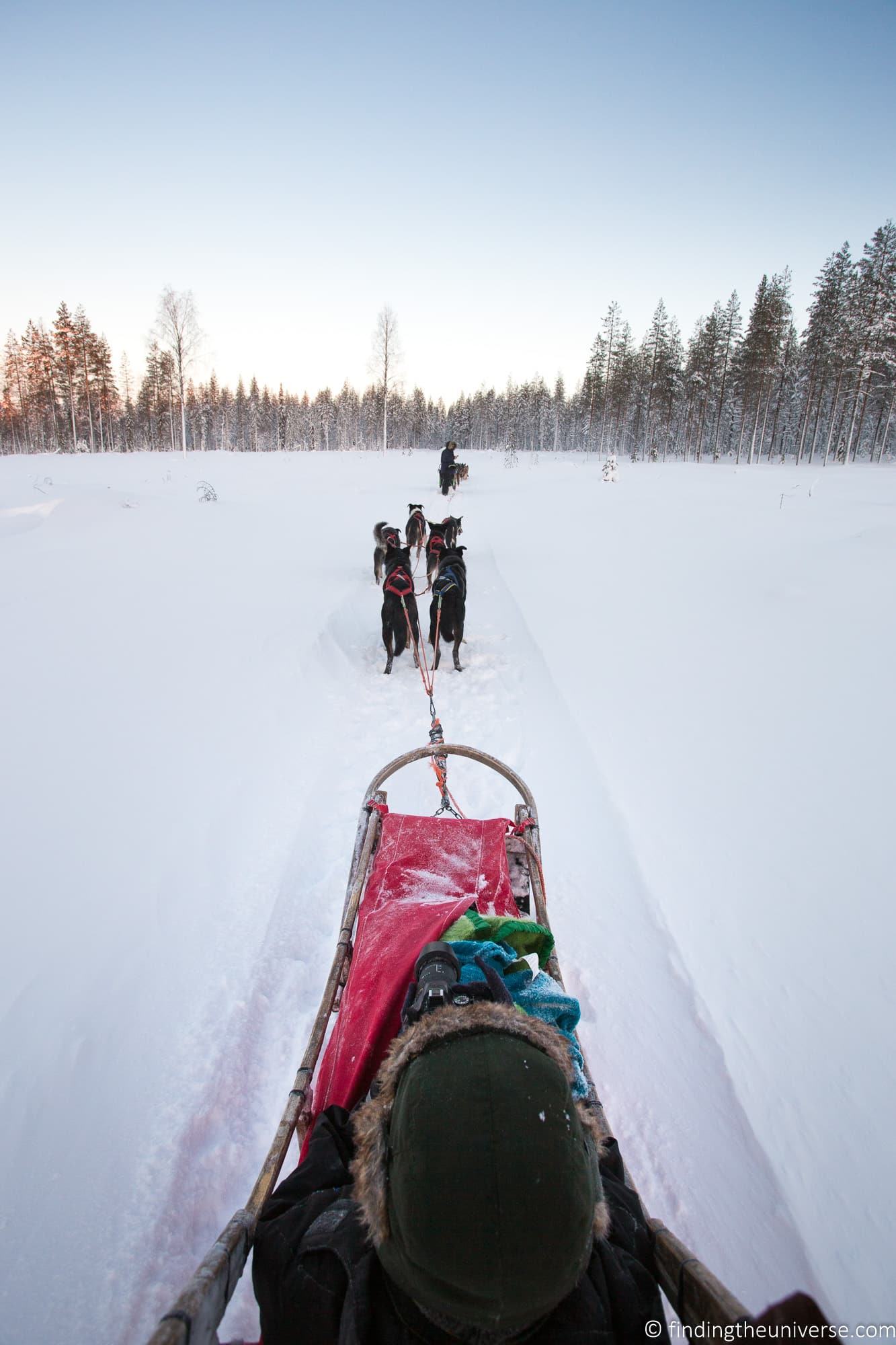 Husky Sledding Rovaniemi