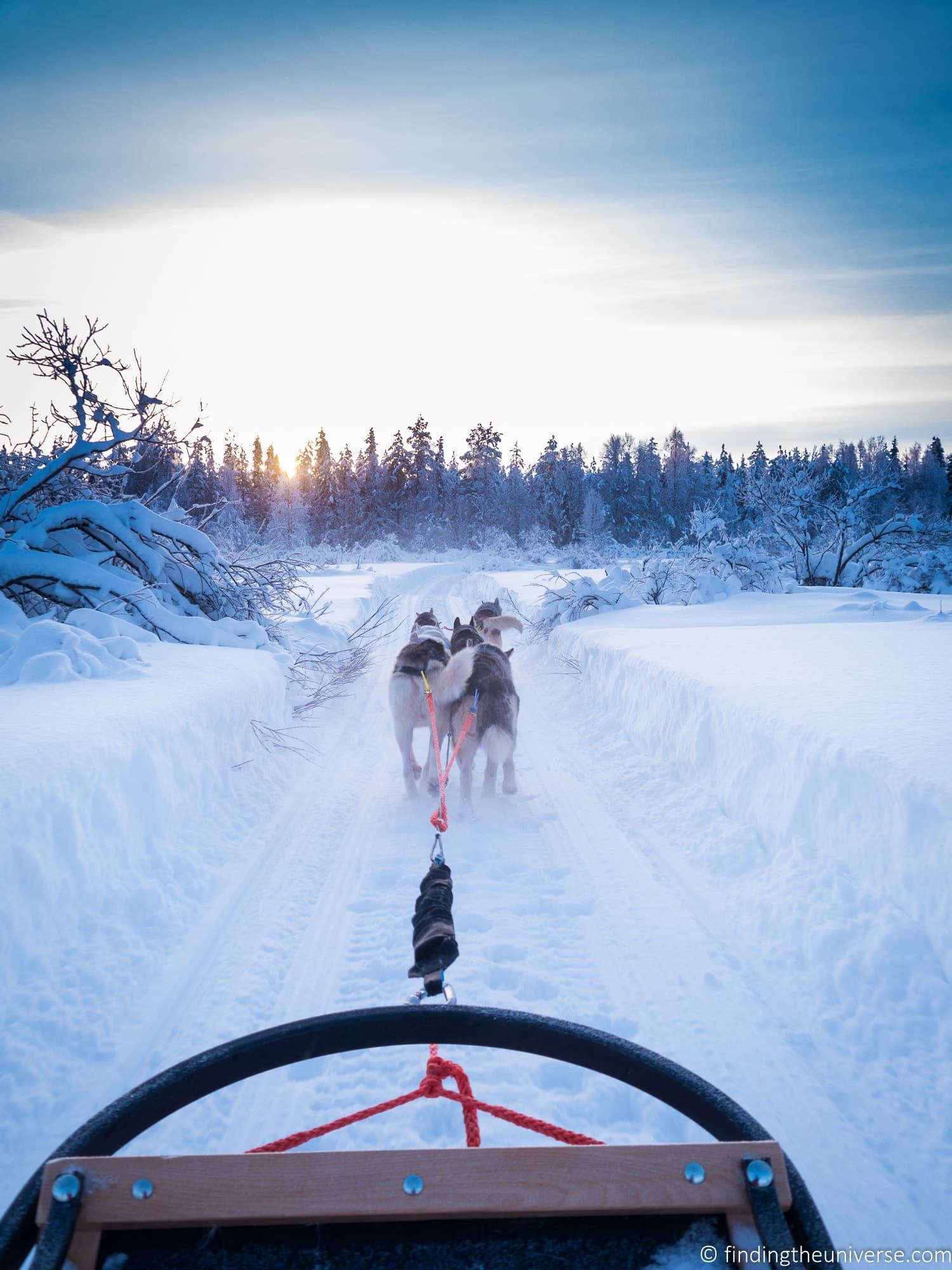 Husky sledding FInland