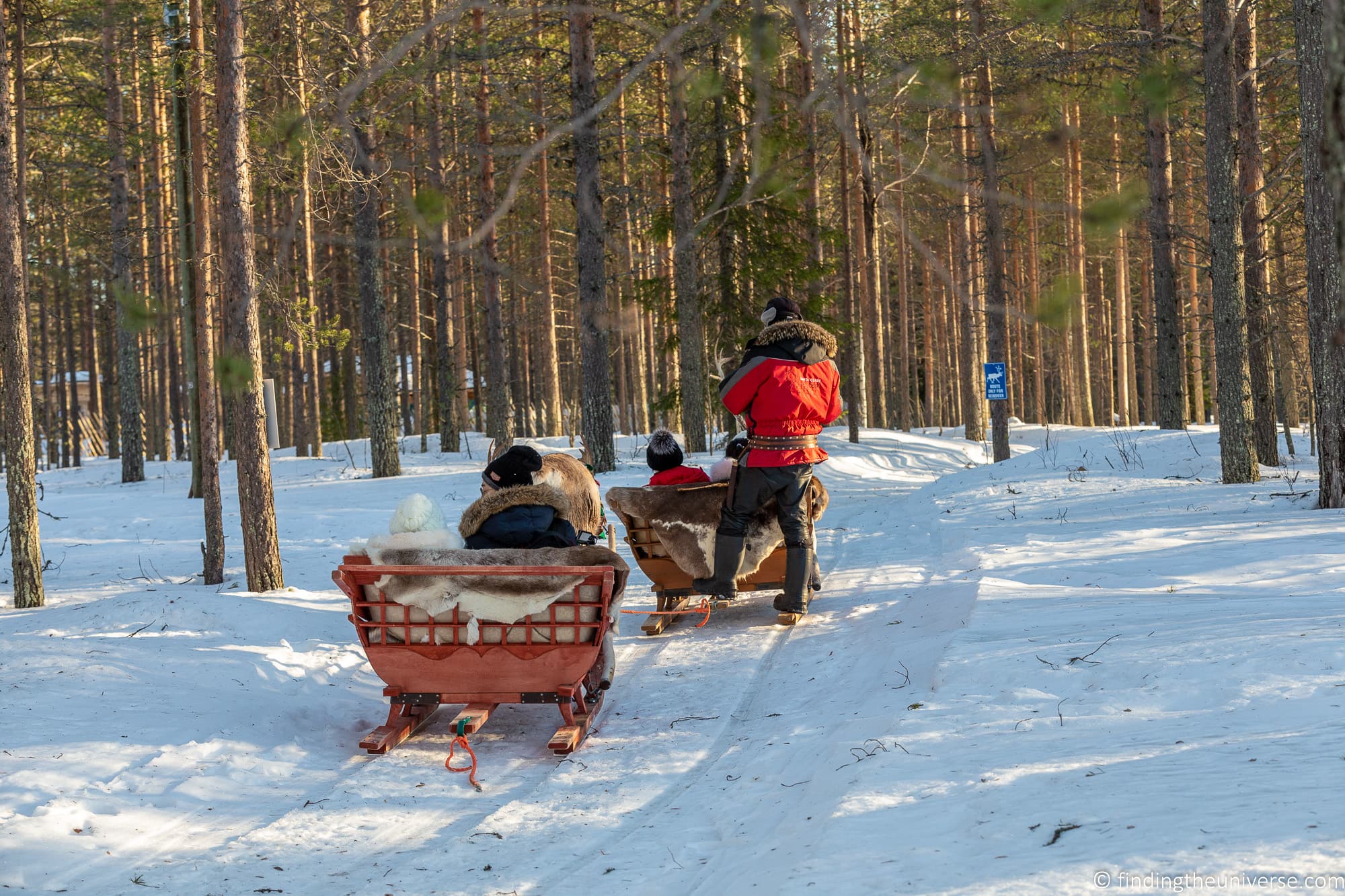 Reindeer sled Rovaniemi