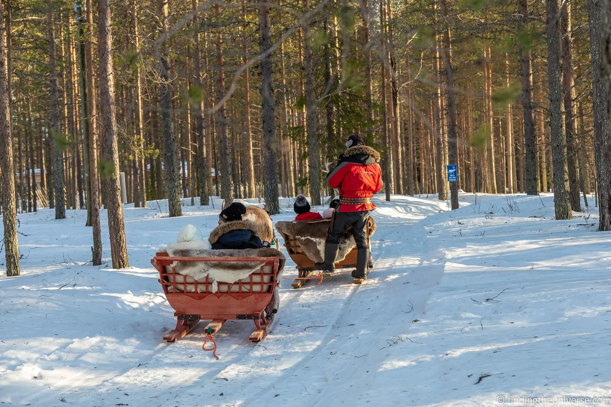 Reindeer sled Rovaniemi