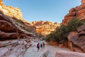 Hikers with travel backpacks