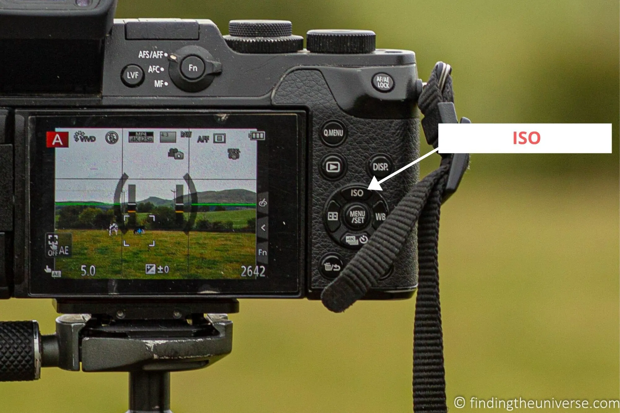 ISO button on a mirrorless camera