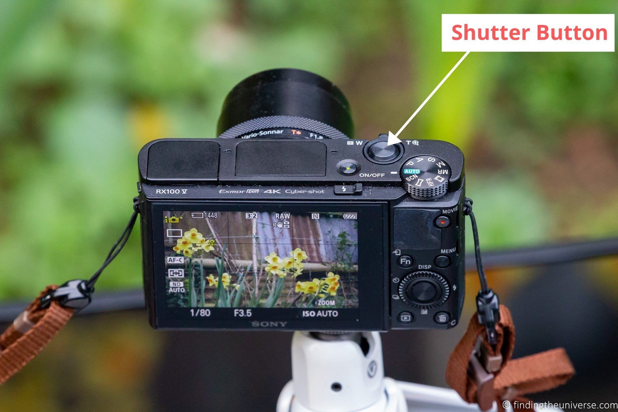 Compact Camera Shutter Button