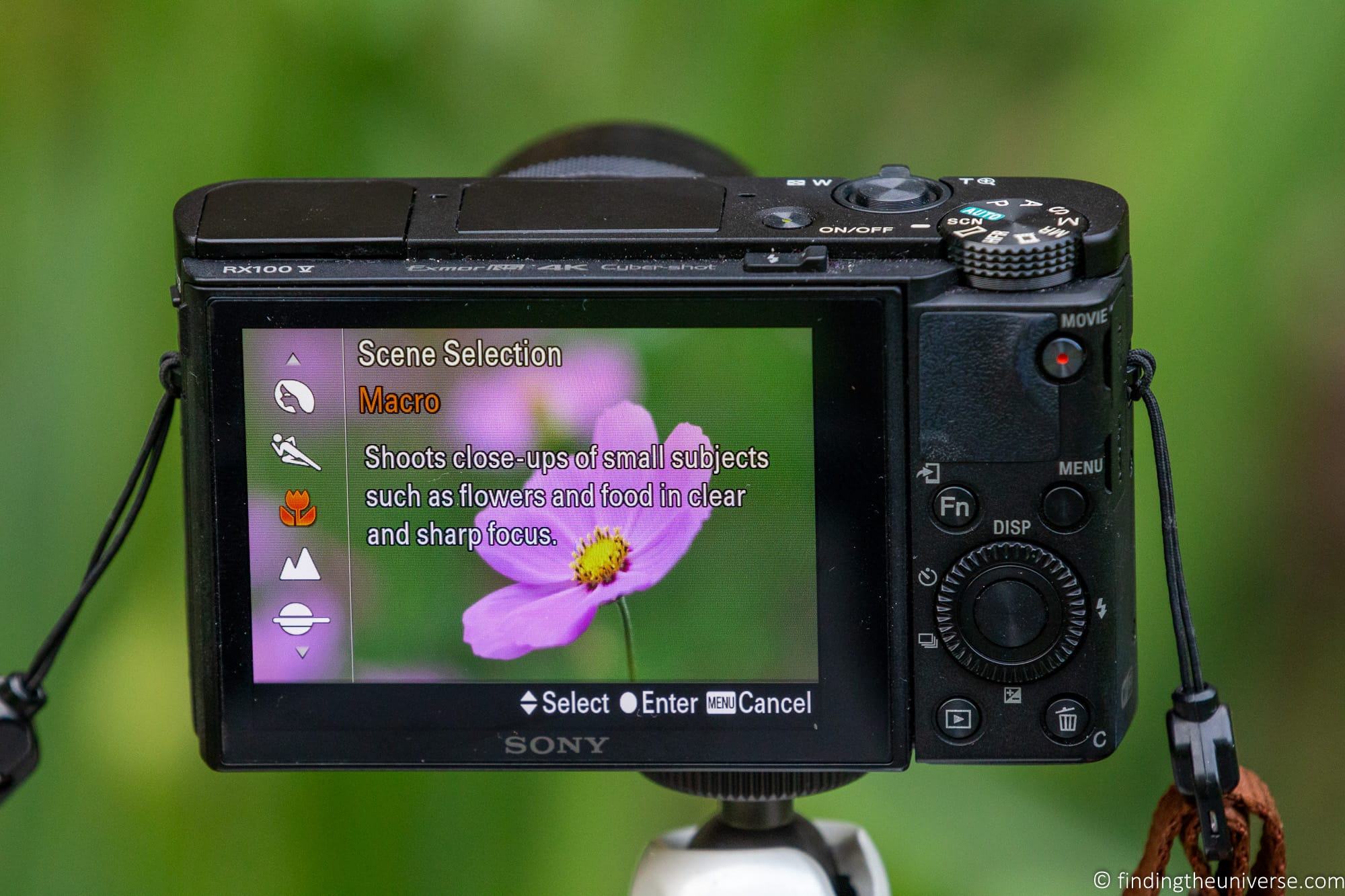 Compact Camera Scene Selection