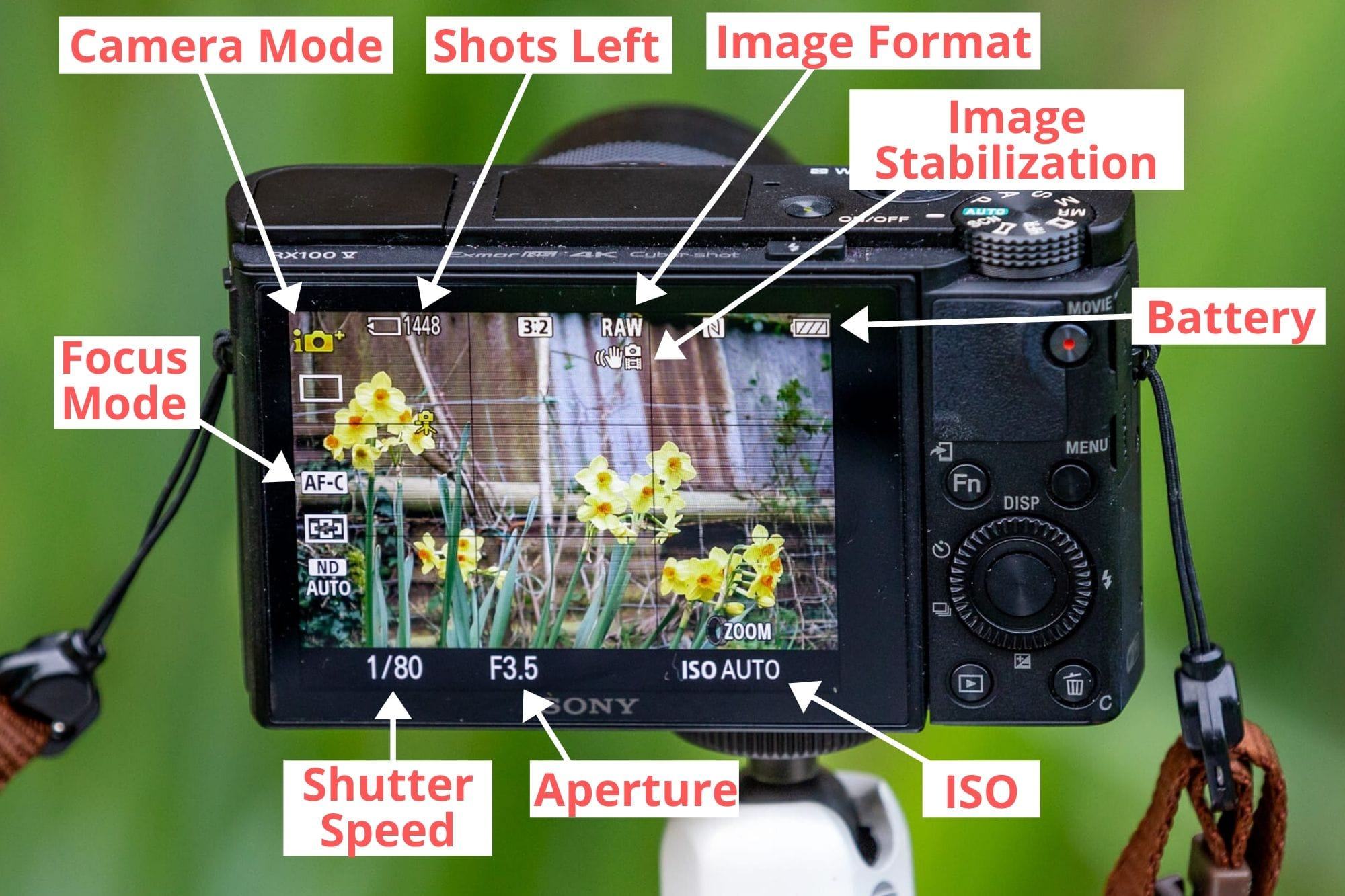 Compact camera on screen display guide