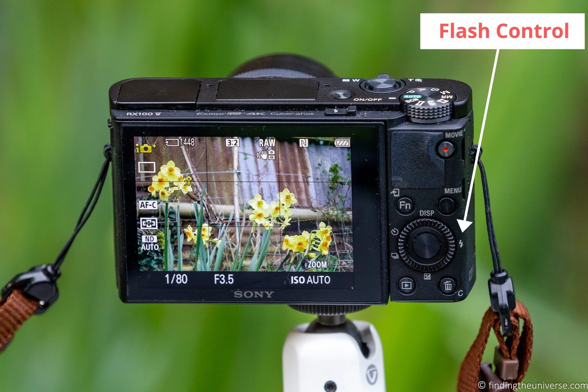 Flash Control Compact Camera