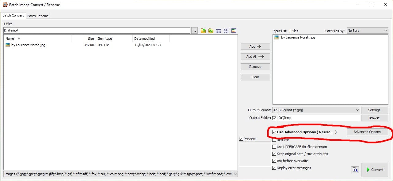 FastStone 4 - batch convert and rename advanced options