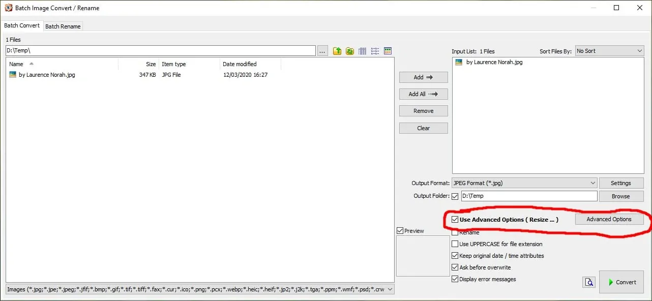 FastStone 4 - batch convert and rename advanced options