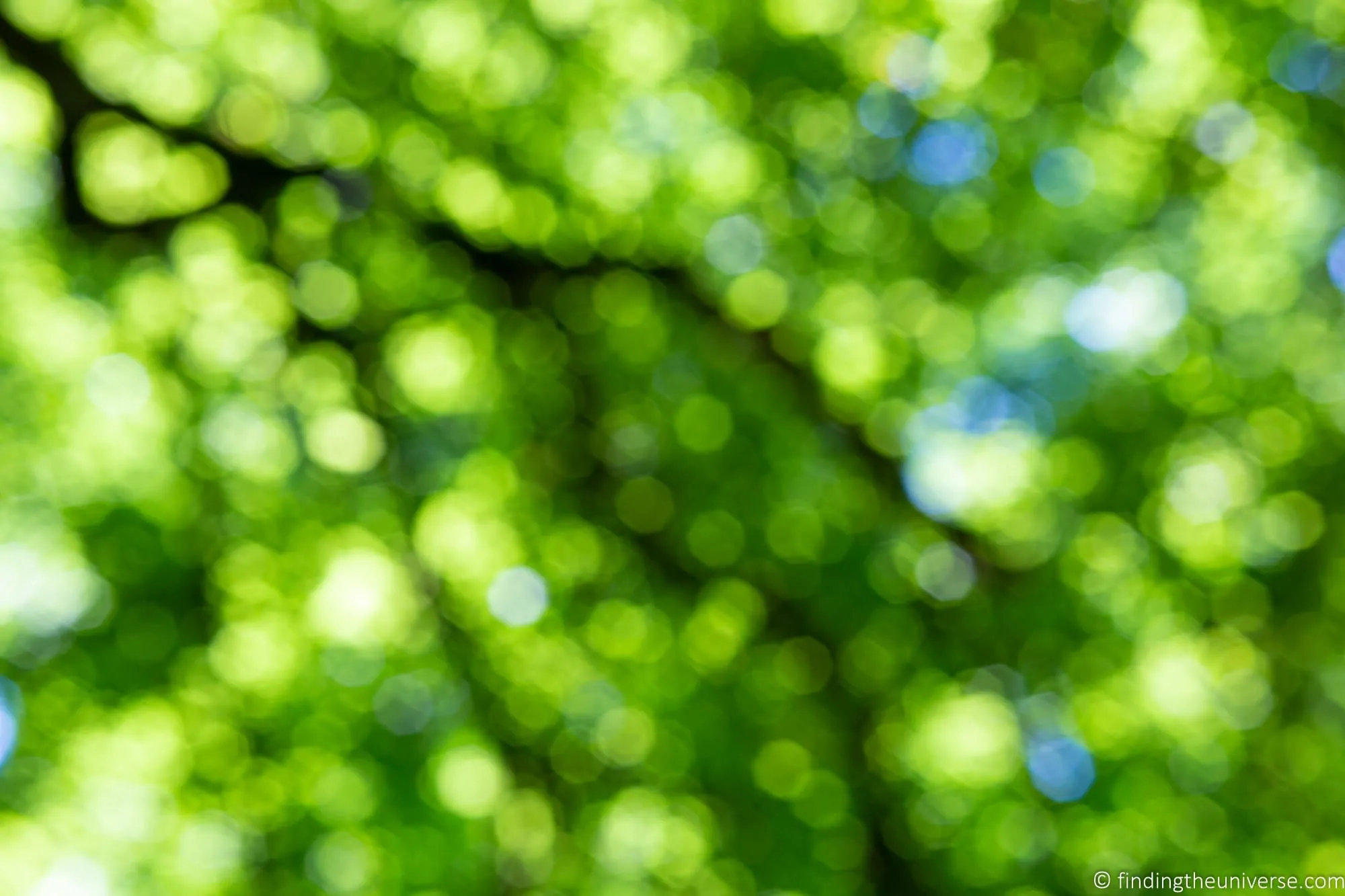 Abstract Bokeh