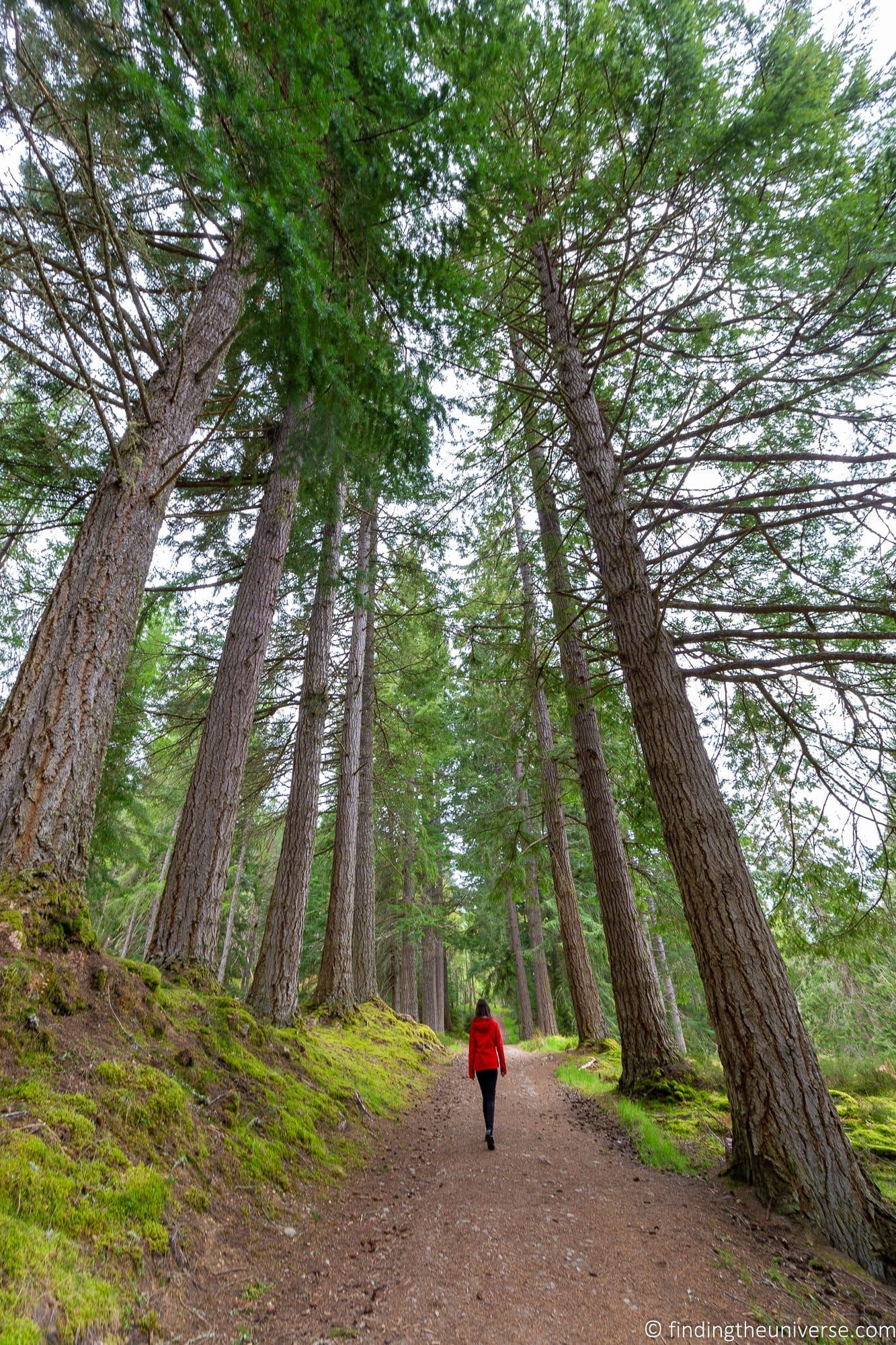 Glen Affric hiking