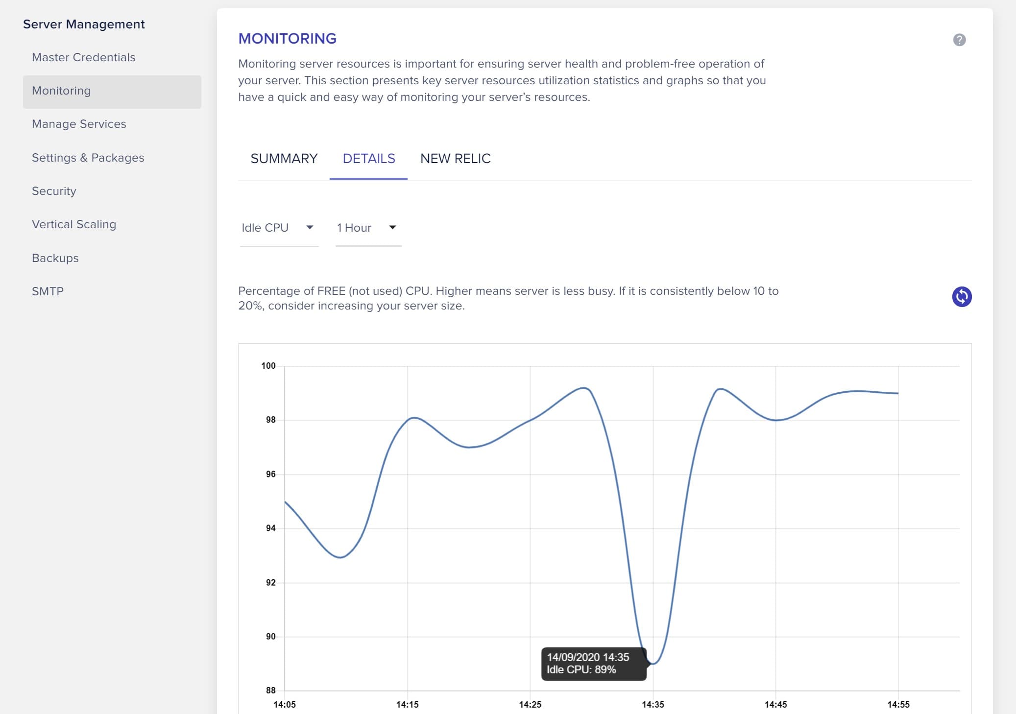 Cloudways server monitoring screen 2