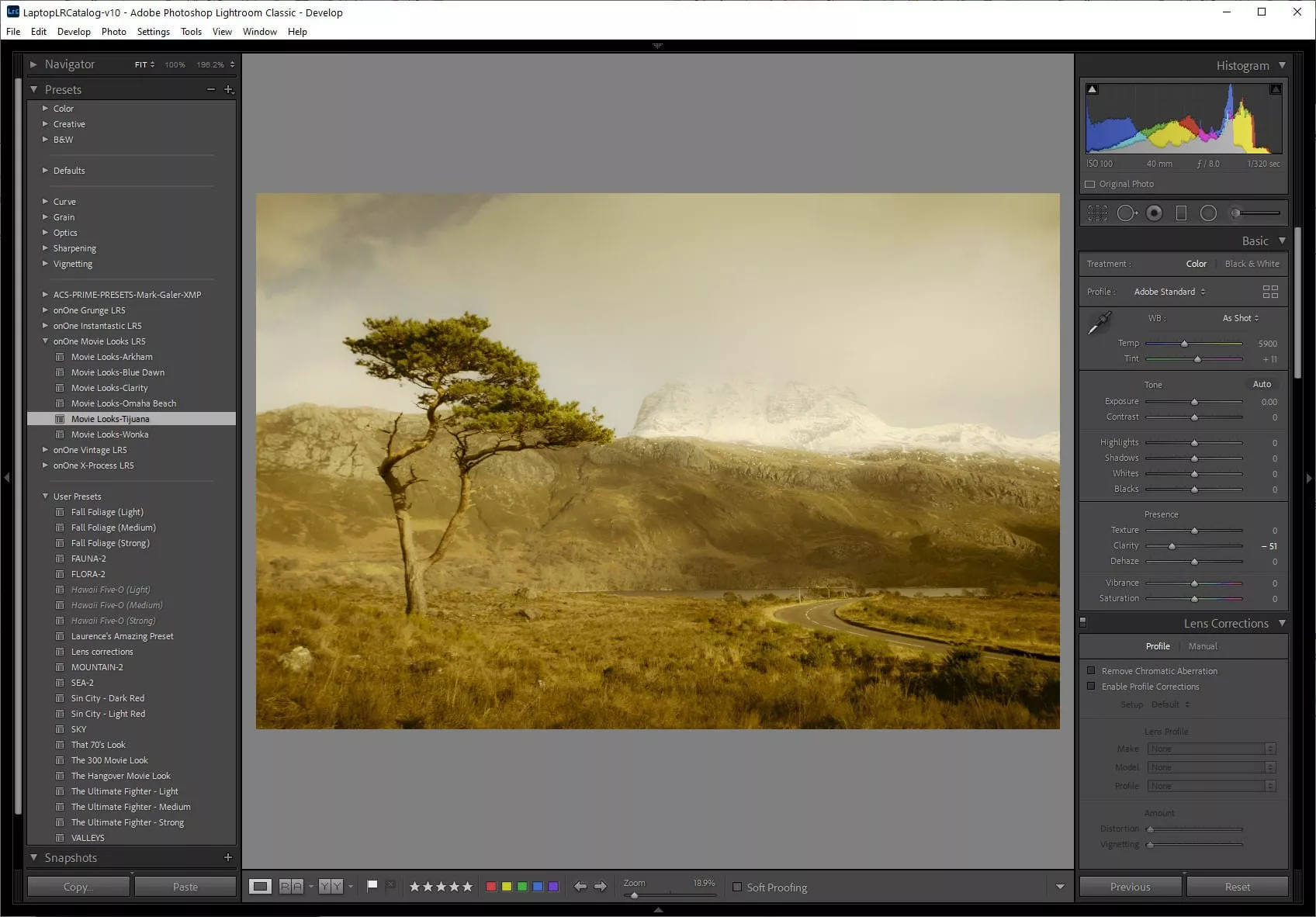 Free Lightroom Presets 6